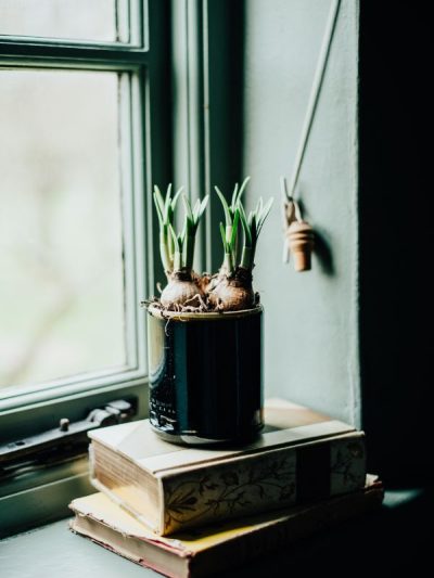 Dark Glass plant pot