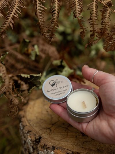 autumn scents